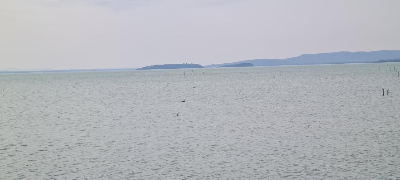 Appartamento Lago Trasimeno - Torricella Pg Εξωτερικό φωτογραφία